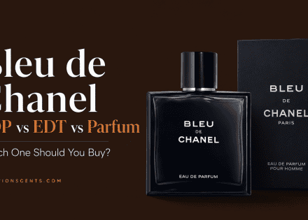 Bleu de Chanel EDP vs EDT vs Parfum: Which One Should You Buy?