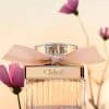 Close-up of Chloé Eau de Parfum bottle surrounded by soft pink flowers with warm natural lighting.