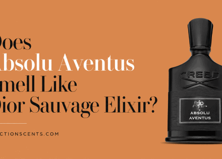 Does Absolu Aventus Smell Like Dior Sauvage Elixir?