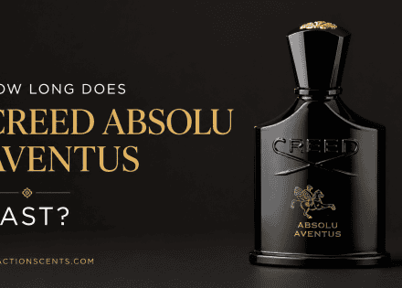 How Long Does Creed Absolu Aventus Last?