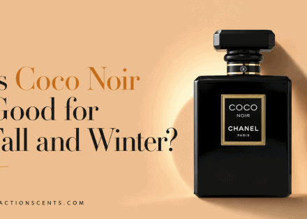 Is Chanel Coco Noir Good for Fall and Winter?
