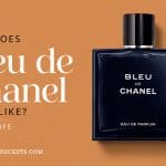 What Does Bleu de Chanel Eau de Parfum Actually Smell Like in Real Life - FractionScents