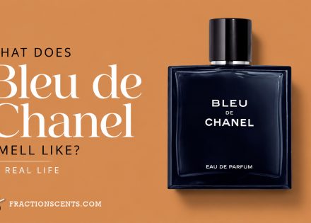 What Does Bleu de Chanel Eau de Parfum Actually Smell Like in Real Life - FractionScents