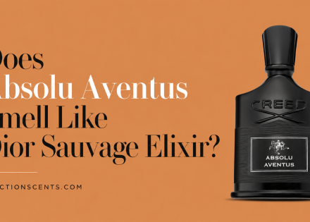 Does Absolu Aventus Smell Like Dior Sauvage Elixir - FractionScents