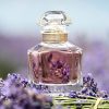 GUERLAIN - Mon Guerlain Eau de Parfum 8ml Decant - 002 - Product Image - Try Before You Buy - Perfume Sample - FractionScents