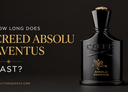 How Long Does Creed Absolu Aventus Last - FractionScents