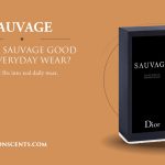 Is Dior Sauvage EDT Good for Everyday Wear - FractionScents