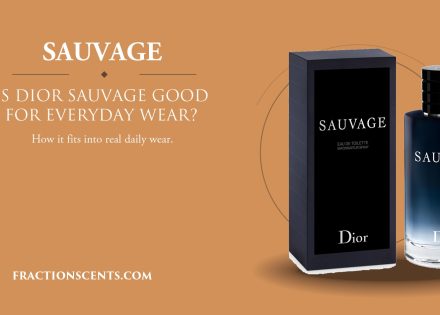 Is Dior Sauvage EDT Good for Everyday Wear - FractionScents