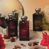Luxury Jo Malone cologne bottles with natural decor and mirror reflection.