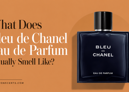 What Does Bleu de Chanel Eau de Parfum Actually Smell Like - FractionScents