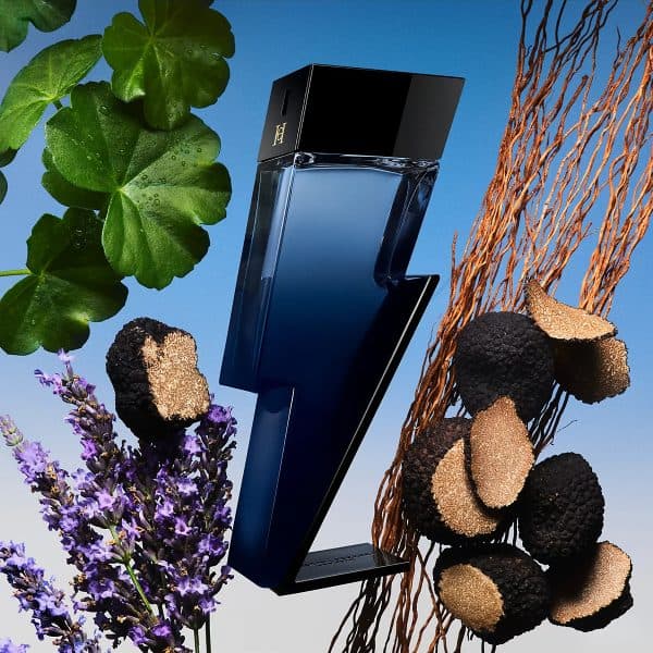 Stylish blue perfume bottle with natural elements for Bad Boy Cobalt.